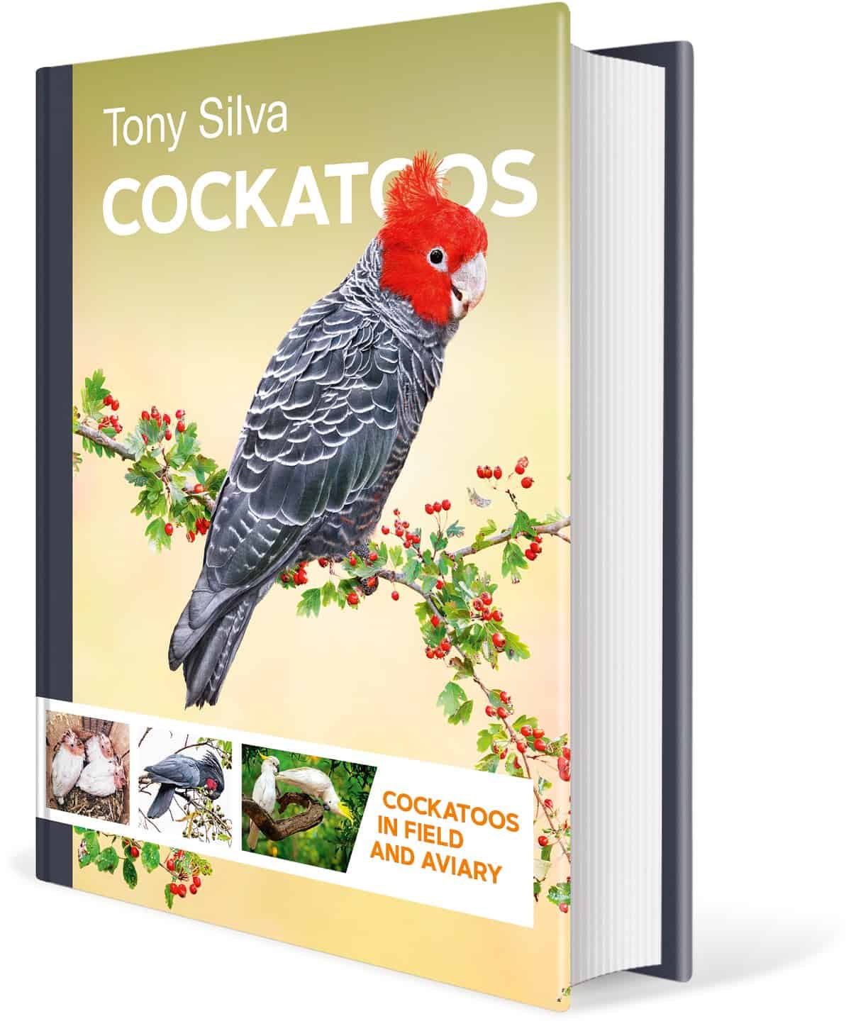 Cockatoos: Cockatoos in Field and Aviary od Tonyho Silvy, přední strana obálky