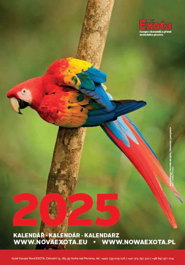 Kalendář nástěnný 2025 (kalendář) - Image 2