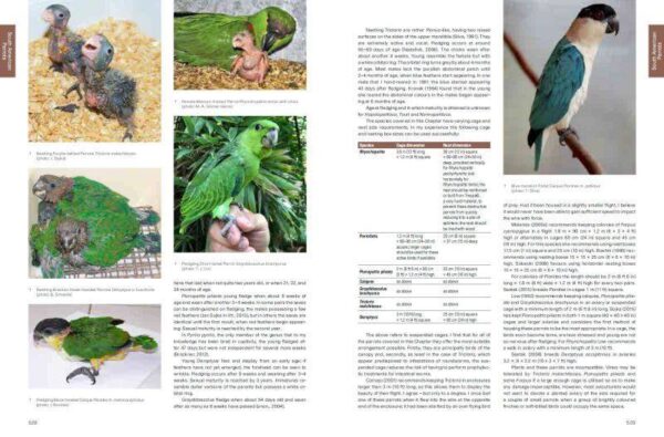 Psittaculture: A Manual for the Care and Breeding of Parrots (kniha, anglicky) - Image 3