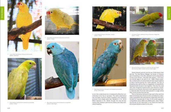 Psittaculture: A Manual for the Care and Breeding of Parrots (kniha, anglicky) - Image 2